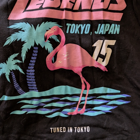 Flamingo Graphic Tee - Picture 1 of 5